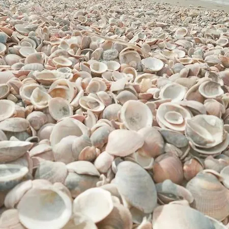 Playa Granada Appartement